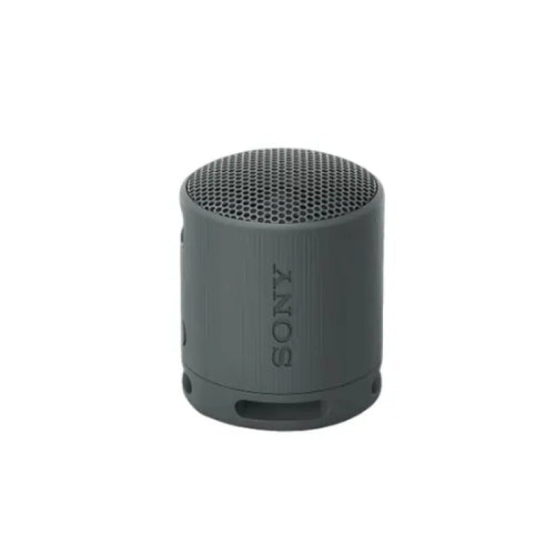 Sony Wireless Portable Speaker SRS-XB100